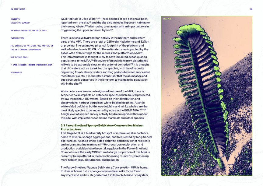A spread showing a sea pen