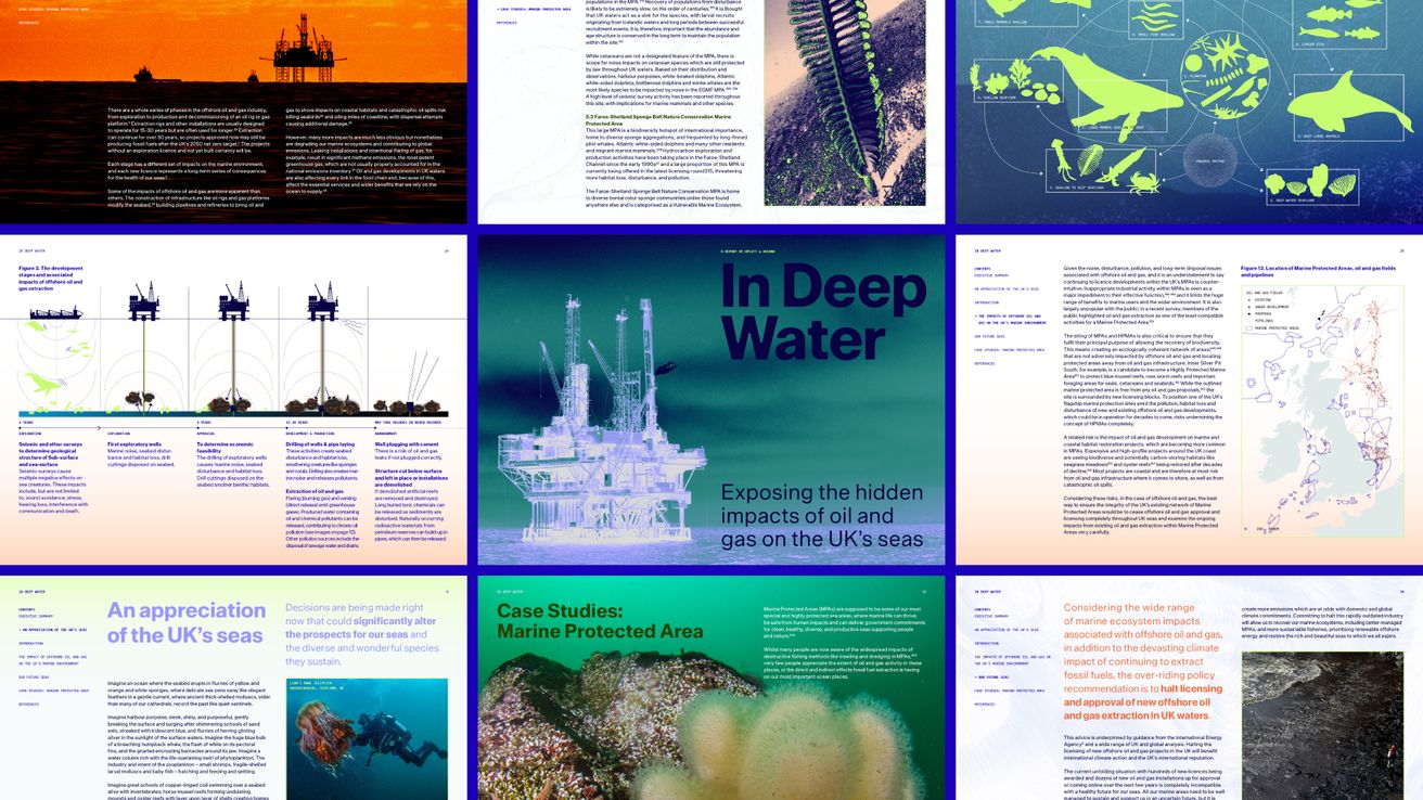 Overview of pages from the report